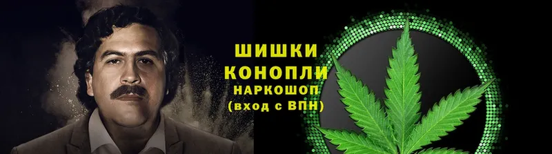 блэк спрут как войти  Борисоглебск  darknet формула  Каннабис Amnesia 